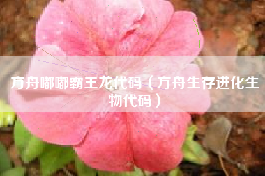 方舟嘟嘟霸王龙代码(方舟生存进化生物代码) 方舟嘟嘟霸王龙代码(方舟生存进化生物代码)