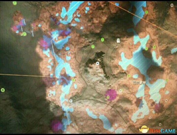 猎人野性的呼唤怎么降低动物压力（动物警觉性降低技巧分享）--第1张