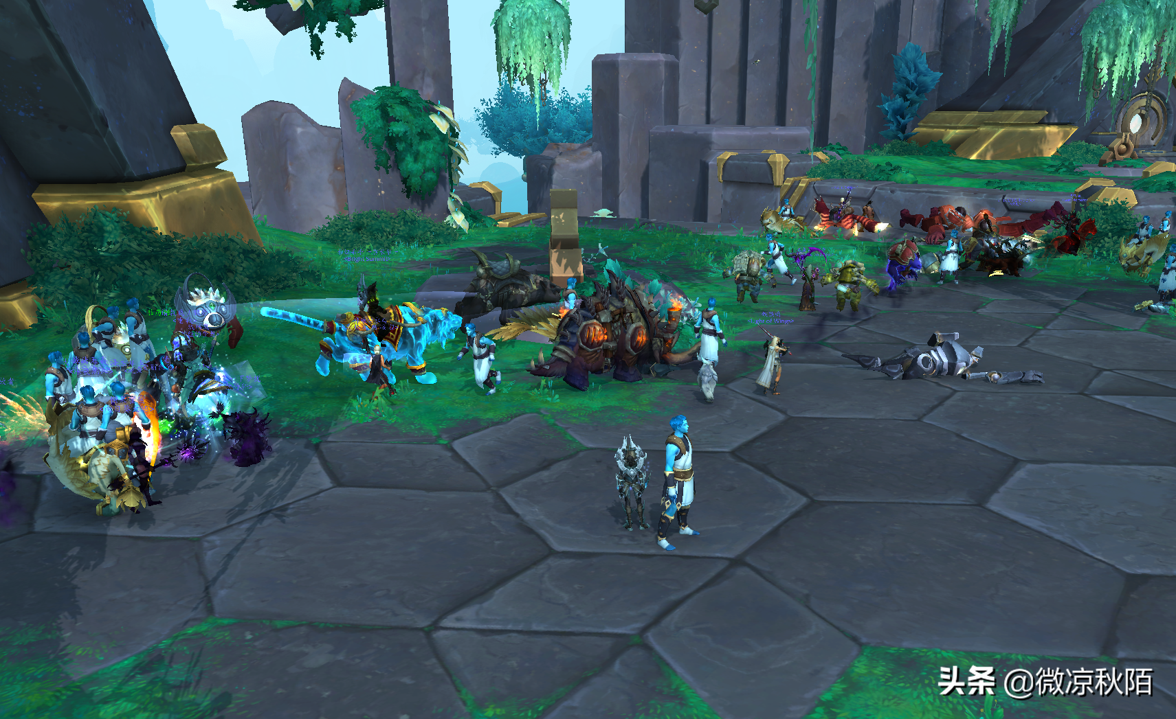 魔兽世界：3个野外直接掉落的坐骑，“海鲁孔”最容易获取