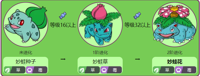 妙蛙花各个世代的配招