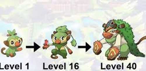 宝可梦剑盾敲音猴截图