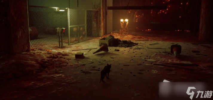 《迷失》全记忆收集图文攻略