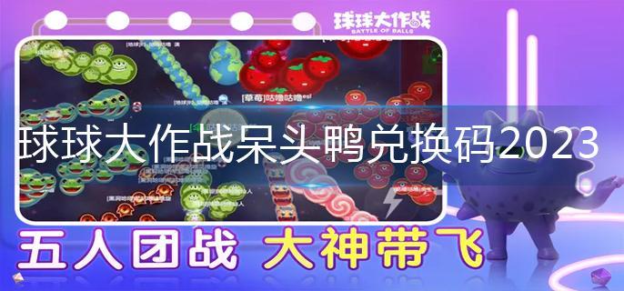 球球大作战呆头鸭兑换码2023-呆头鸭兑换码大全 球球大作战呆头鸭兑换码2023-呆头鸭兑换码大全