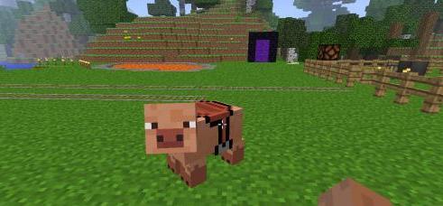 我的世界鞍作用