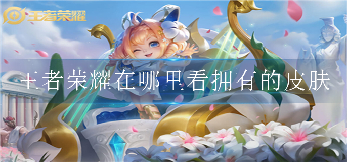 王者荣耀皮肤在哪里看自己拥有的皮肤