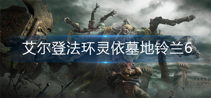 艾尔登法环灵依墓地铃兰6怎么获得-灵依墓地铃兰6获得方法 艾尔登法环灵依墓地铃兰6怎么获得-灵依墓地铃兰6获得方法