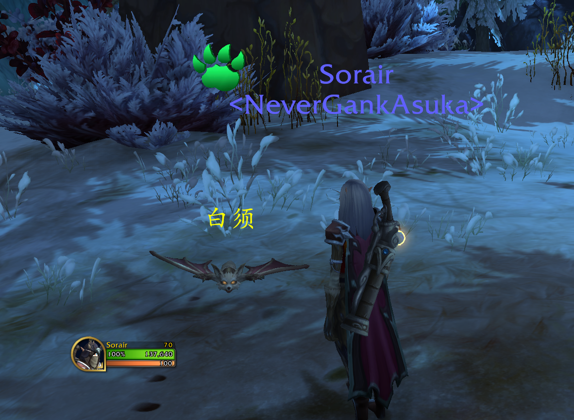 魔兽世界10.0白须怎么获得-10.0白须宠物获得方法 魔兽世界10.0白须怎么获得-10.0白须宠物获得方法