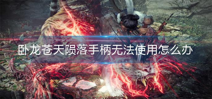 卧龙苍天陨落手柄无法使用怎么办