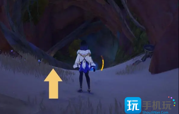 原神3.2无相草入口具体位置介绍 原神3.2无相草入口具体位置介绍