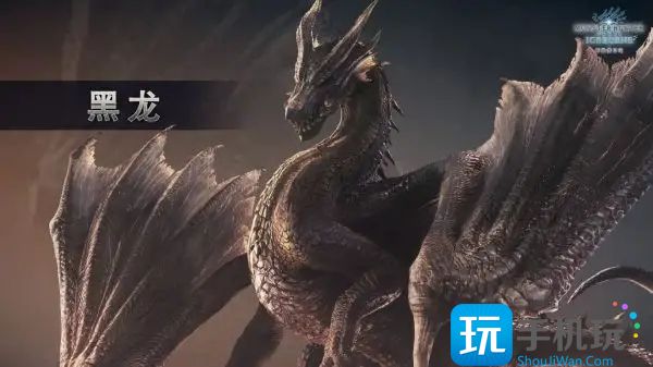 怪物猎人世界黑龙任务怎么触发 怪物猎人世界黑龙任务触发方法