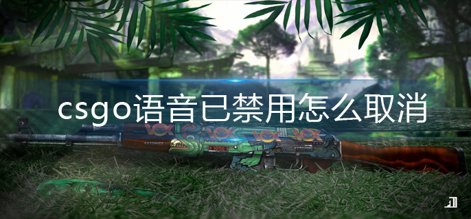 csgo语音已禁用怎么取消-语音已禁用取消方法 csgo语音已禁用怎么取消-语音已禁用取消方法