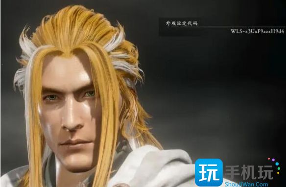 卧龙苍天陨落捏脸代码怎么使用 卧龙苍天陨落男捏脸代码一览