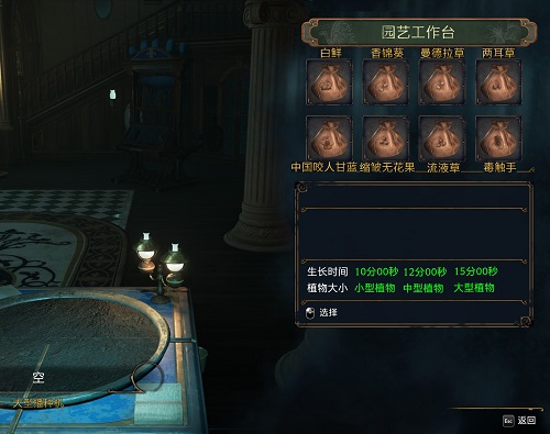 霍格沃茨之遗种子哪里买