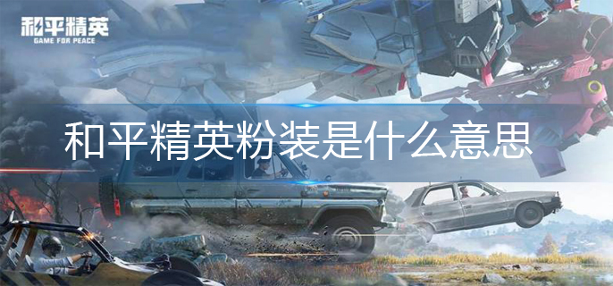 和平精英粉装是什么意思-粉装意思解析