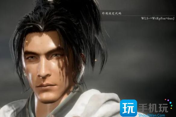 卧龙苍天陨落捏脸代码怎么使用 卧龙苍天陨落男捏脸代码一览