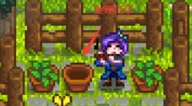 星露谷物语结婚后可以干嘛-婚后游戏玩法 星露谷物语结婚后可以干嘛-婚后游戏玩法