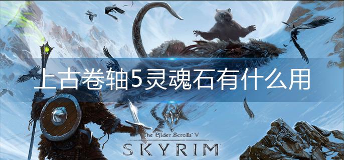 上古卷轴5灵魂石有什么用-灵魂石作用分享
