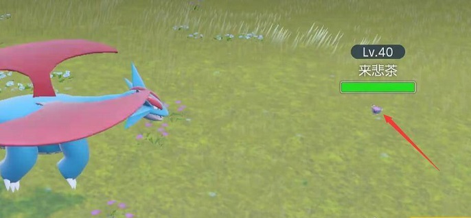 宝可梦朱紫来悲茶在哪