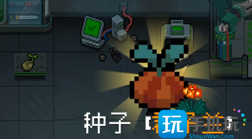 元气骑士迷迭岛君子兰获取攻略