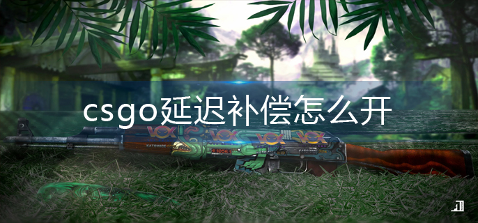 csgo延迟补偿怎么开-延迟补偿打开方法 csgo延迟补偿怎么开-延迟补偿打开方法