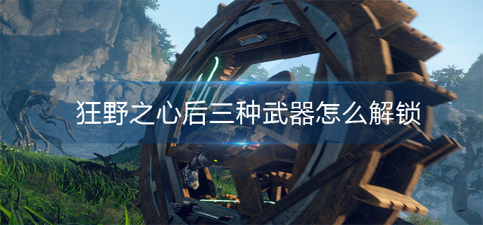 狂野之心后三种武器解锁方法