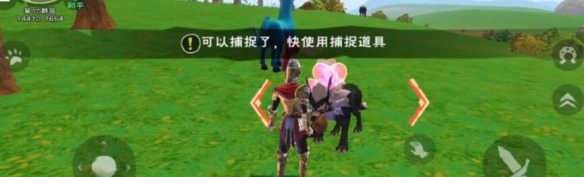 创造与魔法狼怎么抓