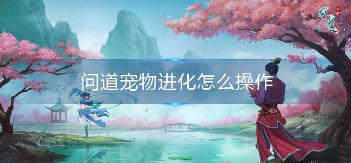 问道宠物进化怎么操作