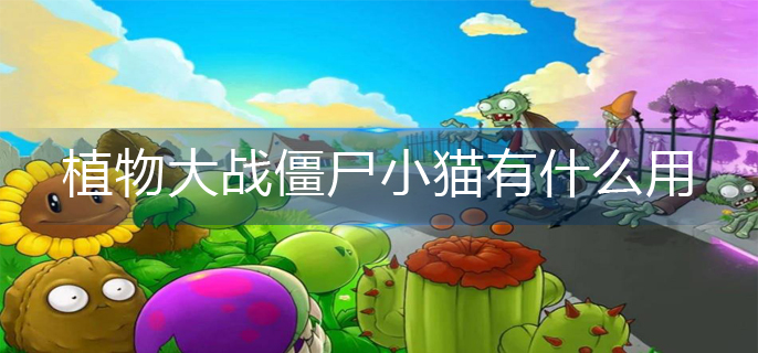 植物大战僵尸小猫有什么用-小猫作用介绍 植物大战僵尸小猫有什么用-小猫作用介绍