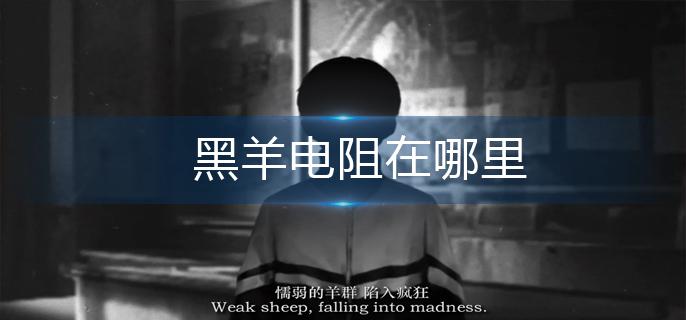 黑羊电阻在哪里-电阻位置分享 黑羊电阻在哪里-电阻位置分享