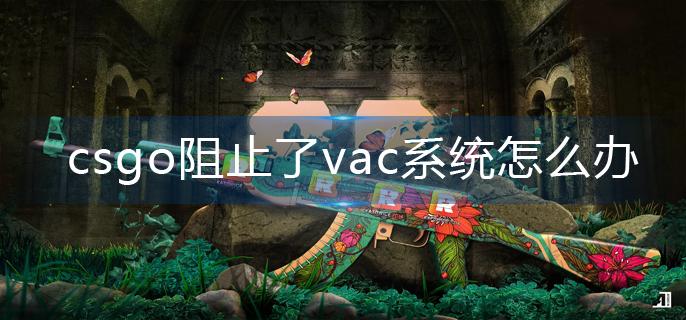 csgo阻止了vac系统怎么办-阻止了vac系统解决办法
