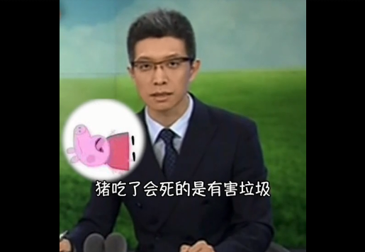 朱广权垃圾分类法_朱广权用猪教你分类垃圾 朱广权垃圾分类法_朱广权用猪教你分类垃圾