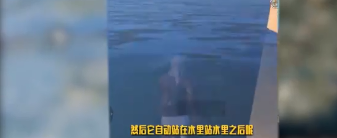 和平精英水遁怎么卡_和平精英卡水遁技巧介绍 和平精英水遁怎么卡_和平精英卡水遁技巧介绍