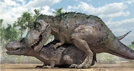 方舟生存进化恐龙如何繁殖_恐龙生蛋繁殖方法详解 方舟生存进化恐龙如何繁殖_恐龙生蛋繁殖方法详解