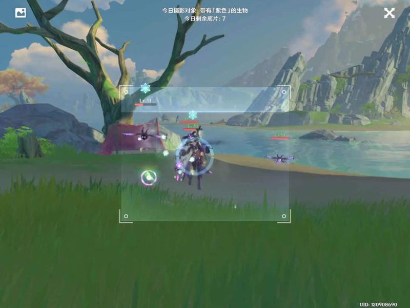 《原神手游》带有紫色的生物在哪拍 福至五彩紫色的生物位置分享