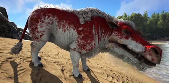 方舟生存进化凶齿豨怎么驯服_方舟凶齿豨吃什么 方舟生存进化凶齿豨怎么驯服_方舟凶齿豨吃什么