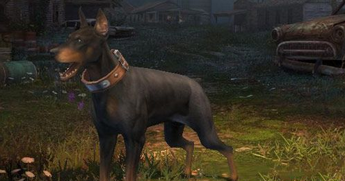 明日之后选哪个宠物狗好_明日之后宠物狗选择推荐