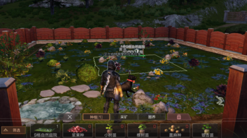 明日之后墙纸怎么用_明日之后墙纸用法攻略 明日之后墙纸怎么用_明日之后墙纸用法攻略