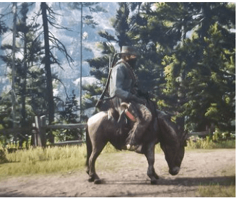 荒野大镖客2小毛驴在哪_荒野大镖客2小毛驴位置一览