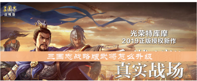 三国志战略版武将怎么升级_三国志战略版武将升级方法