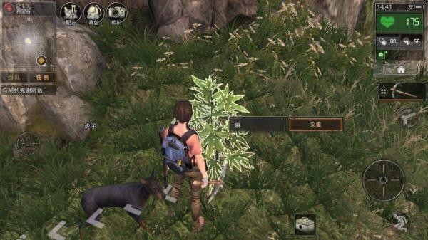 明日之后二级麻哪里采集好_2级麻多的采集地点推荐 明日之后二级麻哪里采集好_2级麻多的采集地点推荐