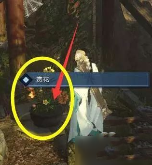 逆水寒追命支线神秘箱子任务怎么过_追命支线神秘箱子攻略