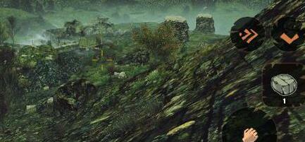 1485166552702344.jpg 1.jpg